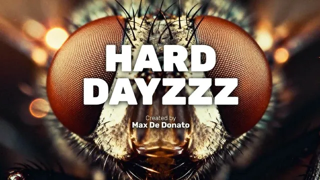 Hard Dayzzz · 海报